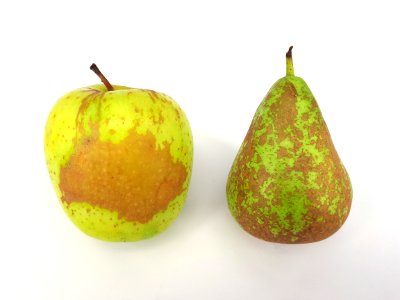 2_x_Russetted_fruit_-_Apple_-_Pear_-_2017_A1