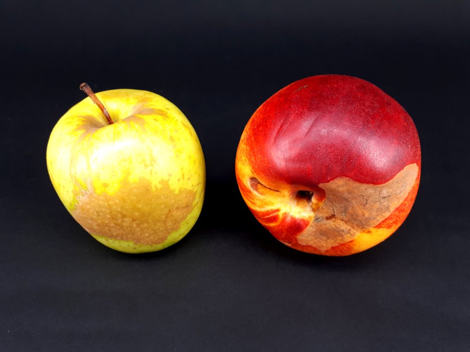 2_x_Stained_fruit_-_Apple_-_Nectarine_-_2017_B