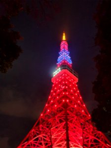 1月3日(日)は東京タワーを台湾色にライトアップ_12