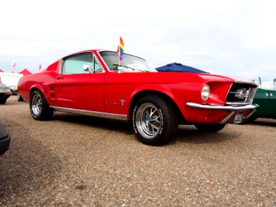 1967_FORD_MUSTANG_2+2_FASTBACK,_licence_AR-51-52,_pic3
