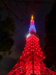 1月3日(日)は東京タワーを台湾色にライトアップ_11