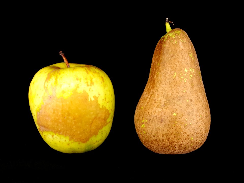 2_x_Russetted_fruit_-_Apple_-_Pear_-_2017_C2