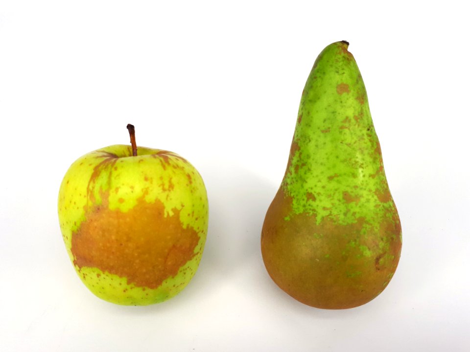 2_x_Russetted_fruit_-_Apple_-_Pear_-_2017_D