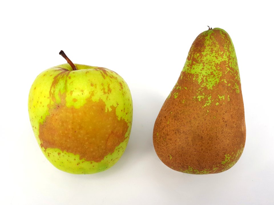 2_x_Russetted_fruit_-_Apple_-_Pear_-_2017_B1