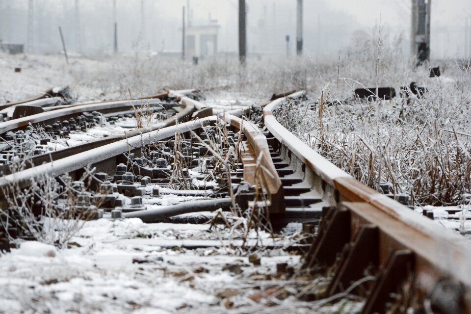 Photography plants railroad
