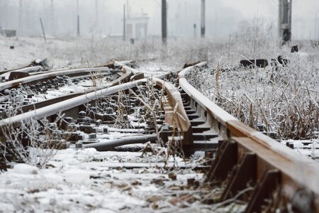 Photography plants railroad