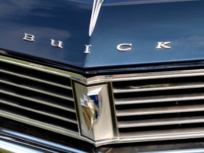 1967_Buick_Skylark,_Dutch_licence_registration_DH-06-89_p5