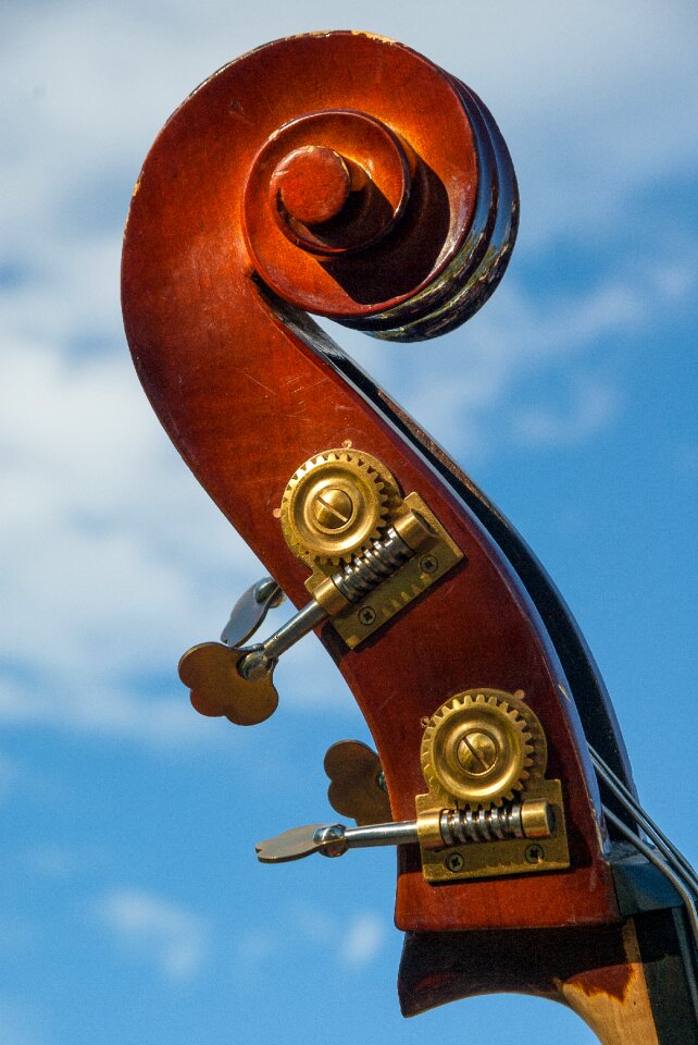 Musical instrument ankles musician