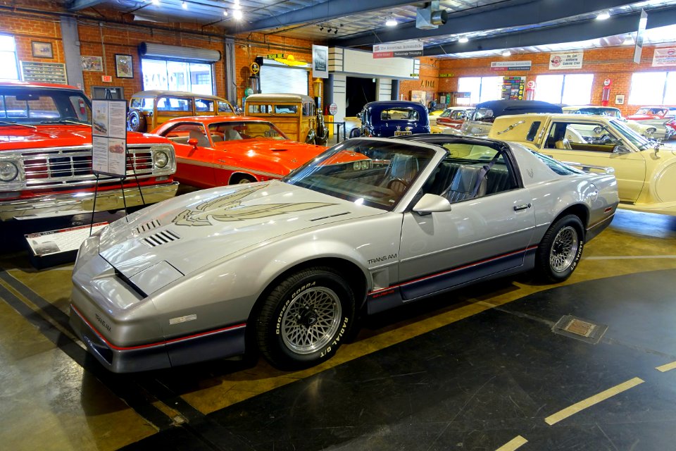 1985_Pontiac_Firebird_Trans_Am_H.O.,_built_Sept._29,_1984_-_Automobile_Driving_Museum_-_El_Segundo,_CA_-_DSC01382