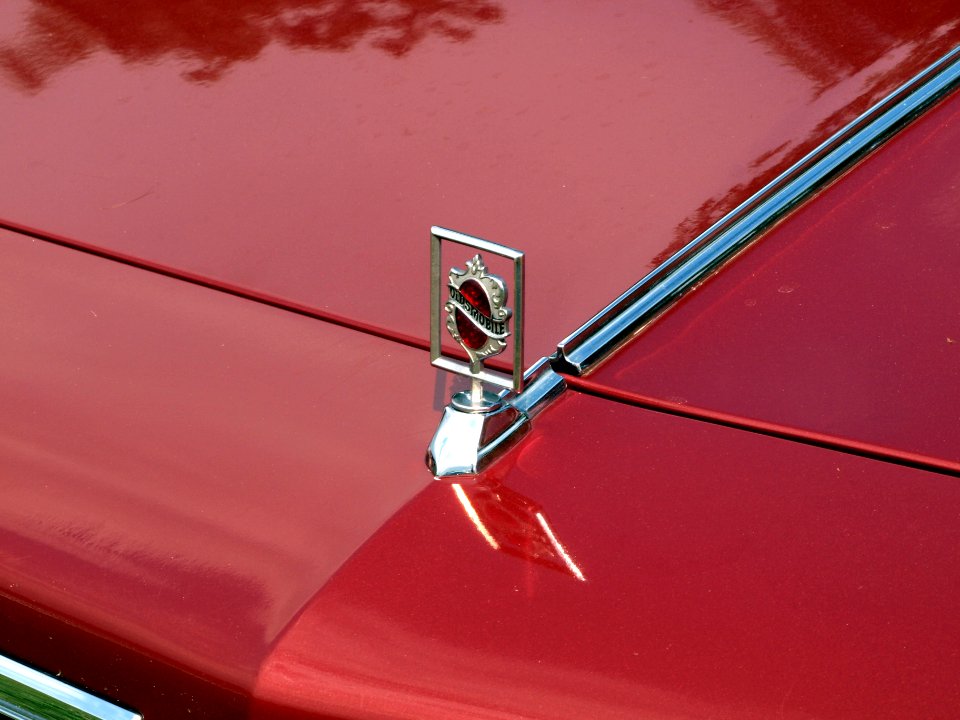 1984_Oldsmobile_Royale_88,_Dutch_licence_registration_67-LKP-9_p3