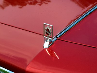1984_Oldsmobile_Royale_88,_Dutch_licence_registration_67-LKP-9_p3
