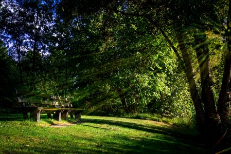 Bank nature landscape