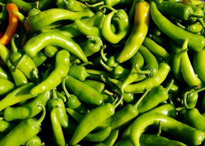 Fresh texture market