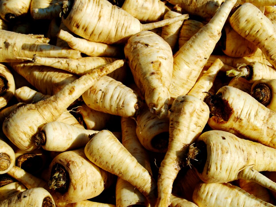 Fresh organic healthy