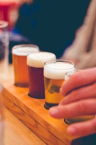Brew beer tasters bar