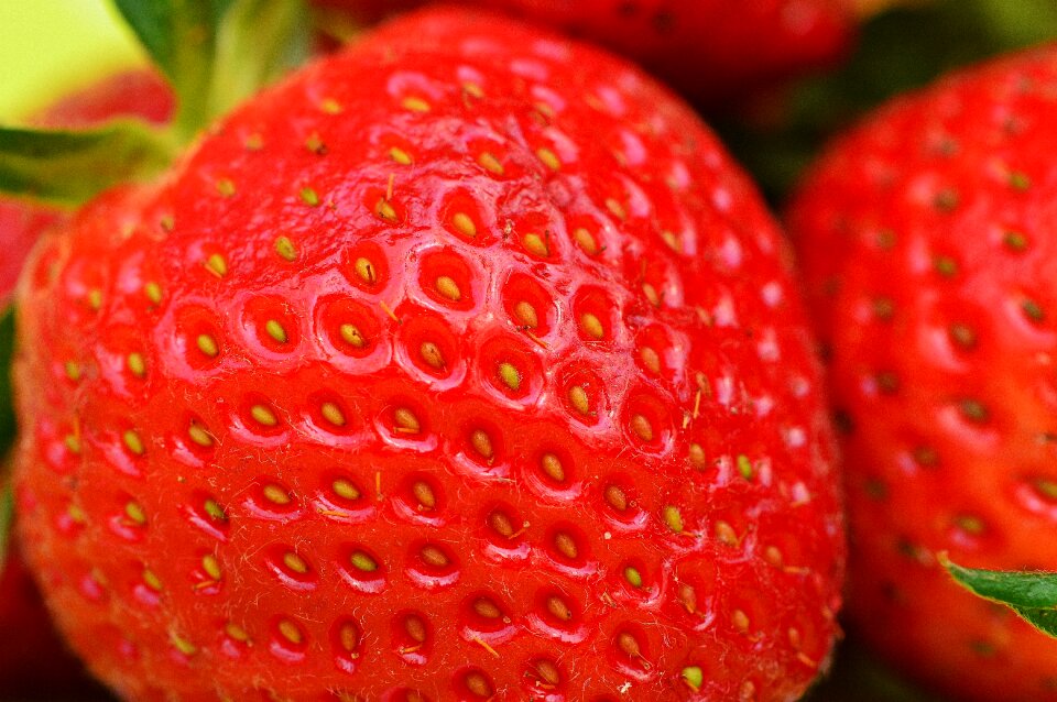 Fruits red sweet
