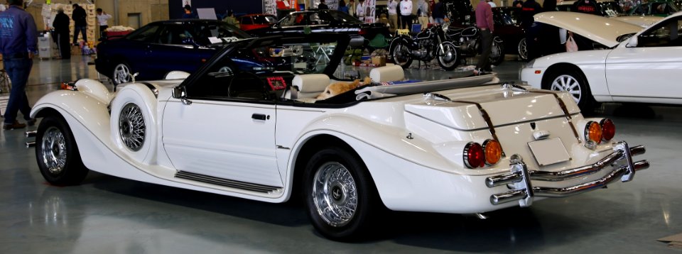 1991_Mitsuoka_Dore_rear