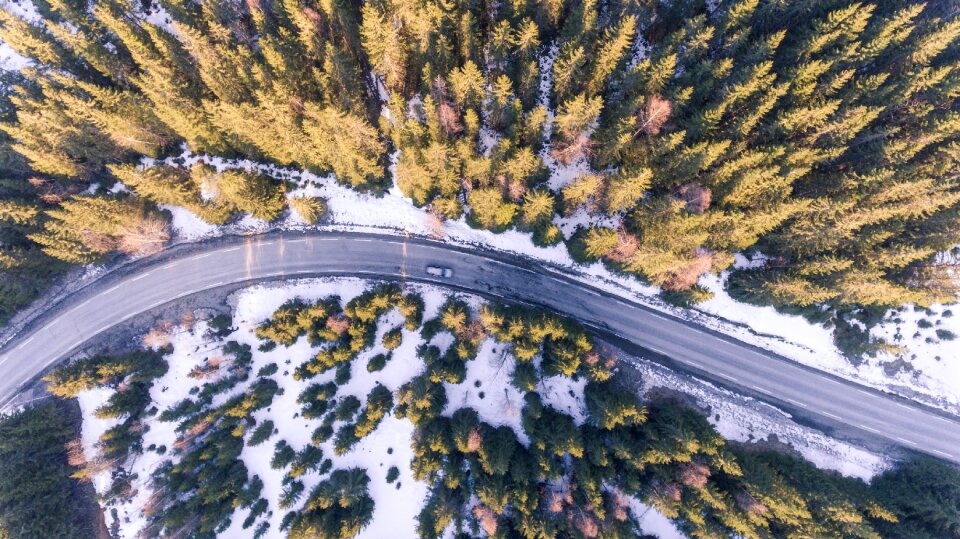Forest above abstract