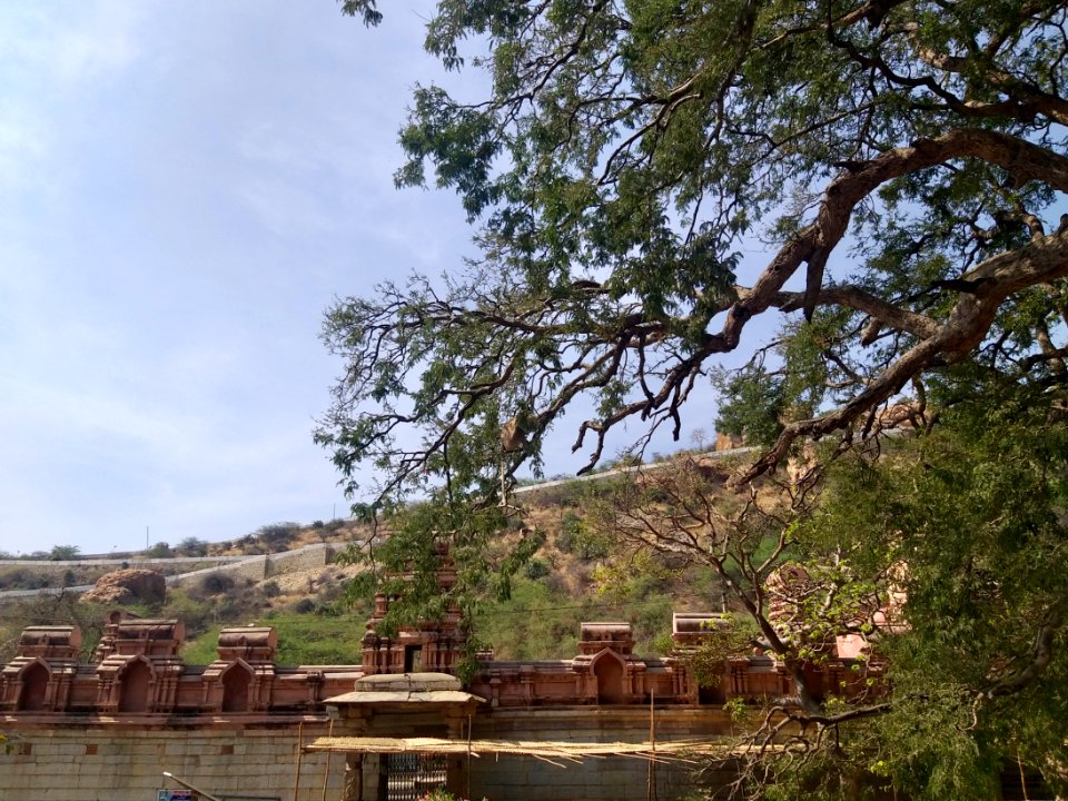 15th_century_Yaganti_Umamahesvara_temple,_Andhra_Pradesh_India_-_183