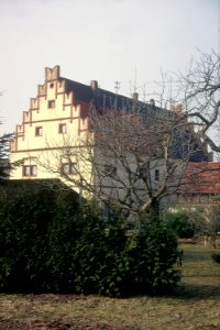199603Schoenfeld3