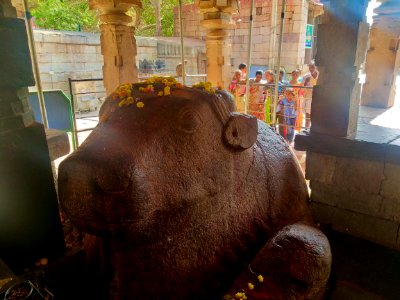 15th_century_Yaganti_Umamahesvara_temple,_Andhra_Pradesh_India_-_118