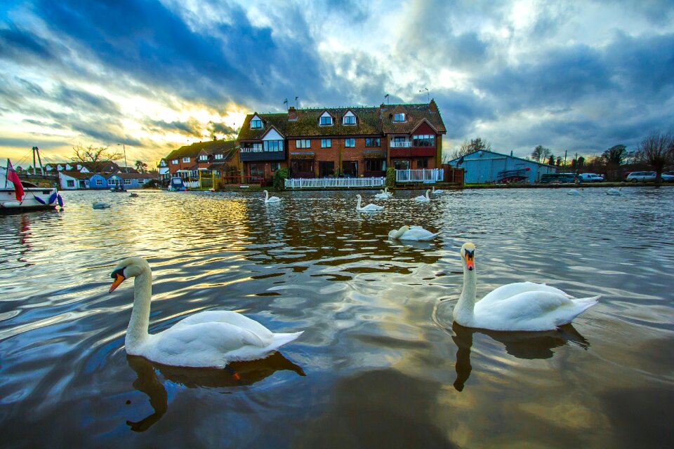 River nature sunset