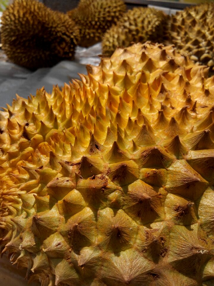 Texture yellow sharp