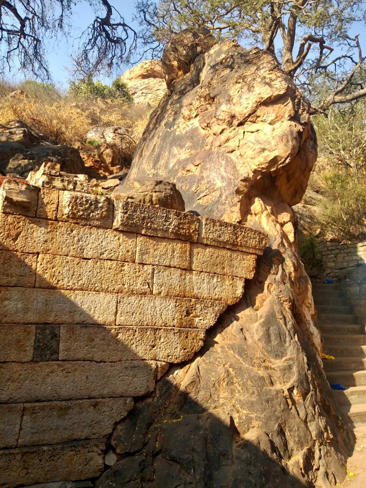 15th_century_Yaganti_Umamahesvara_temple,_Andhra_Pradesh_India_-_67