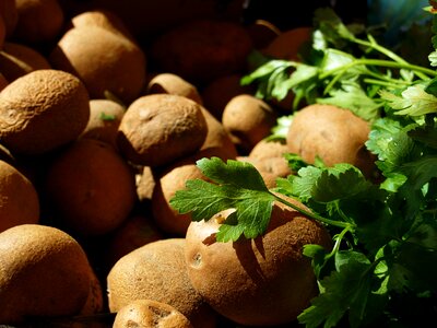 Fresh organic healthy