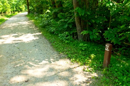 16_Mile_Marker_on_2_mile_level_C_and_O_Canal