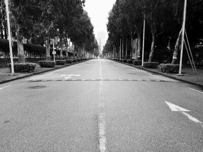 Symmetry road in depth