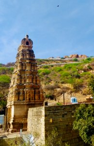 15th_century_Yaganti_Umamahesvara_temple,_Andhra_Pradesh_India_-_170