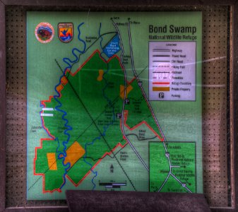 16_15_067_bond_swamp