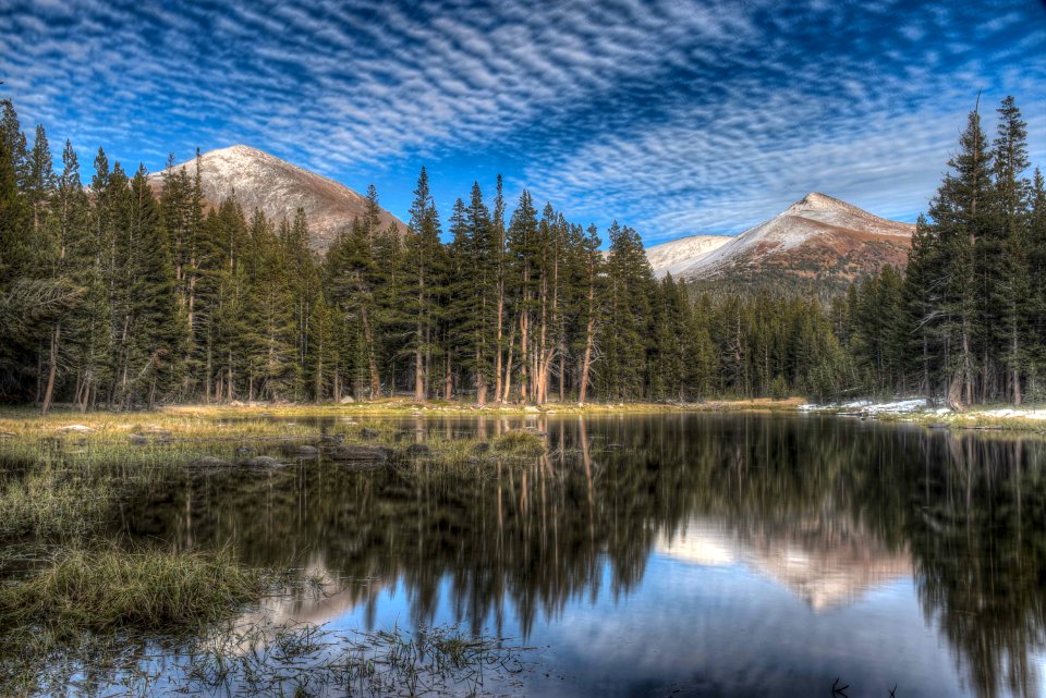 17_25_133_meadow