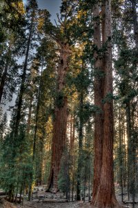17_23_571_sherman