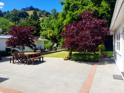 176_Nile_Street_back_garden_view