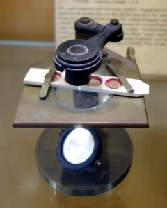 1795-1800,_simple_dissecting_microscope,_Joseph_Zentmayer,_Philadelphia,_USA_-_Golub_Collection_of_Antique_Microscopes_-_DSC04829