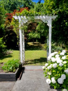 176_Nile_Street_pergola