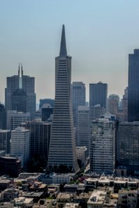 17_30_123_coit_tower photo