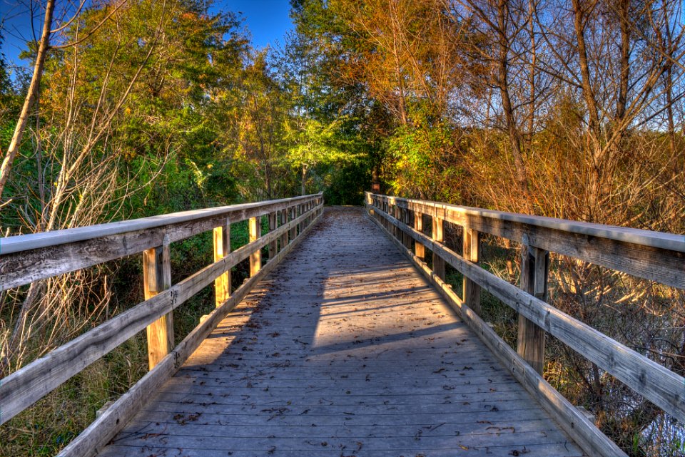 17_31_035_ocmulgee