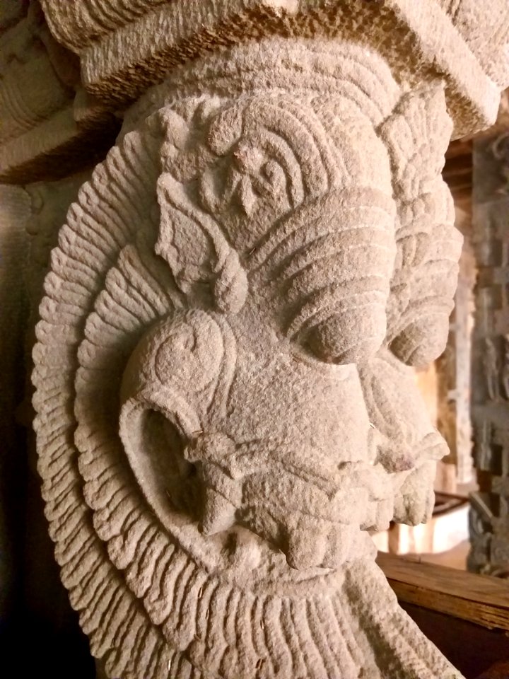 16th_century_Lakshmi_Narasimha_Swamy_temple,_Lower_Ahobilam,_Andhra_Pradesh_India_-_57