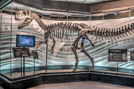 17_14_267_creation_museum