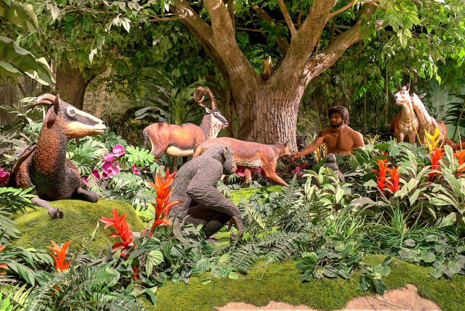 17_14_304_creation_museum