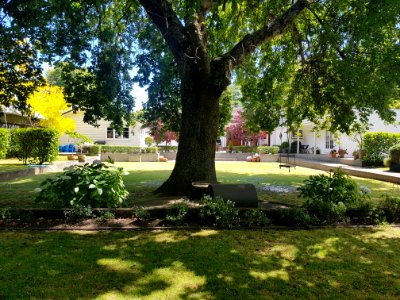 176_Nile_Street_croquet_lawn