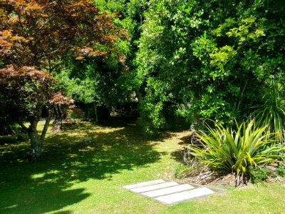 176_Nile_Street_back_section_steps