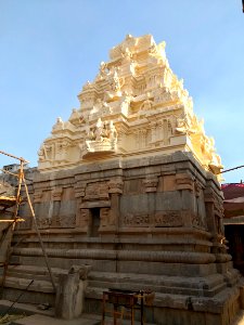 16th_century_Lakshmi_Narasimha_Swamy_temple,_Lower_Ahobilam,_Andhra_Pradesh_India_-_81