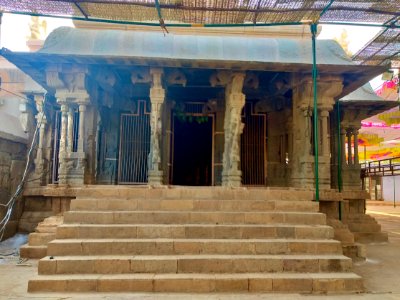 16th_century_Lakshmi_Narasimha_Swamy_temple,_Lower_Ahobilam,_Andhra_Pradesh_India_-_30