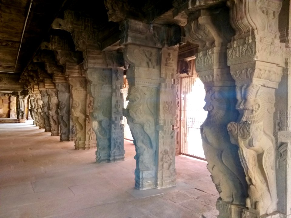 16th_century_Lakshmi_Narasimha_Swamy_temple,_Lower_Ahobilam,_Andhra_Pradesh_India_-_33