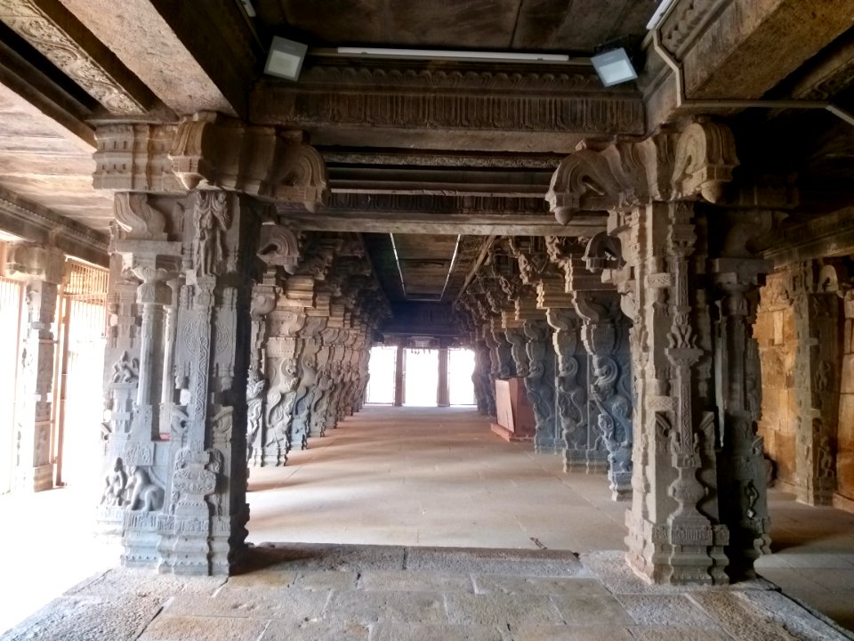 16th_century_Lakshmi_Narasimha_Swamy_temple,_Lower_Ahobilam,_Andhra_Pradesh_India_-_40
