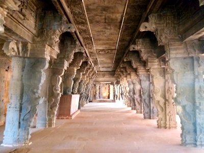 16th_century_Lakshmi_Narasimha_Swamy_temple,_Lower_Ahobilam,_Andhra_Pradesh_India_-_34